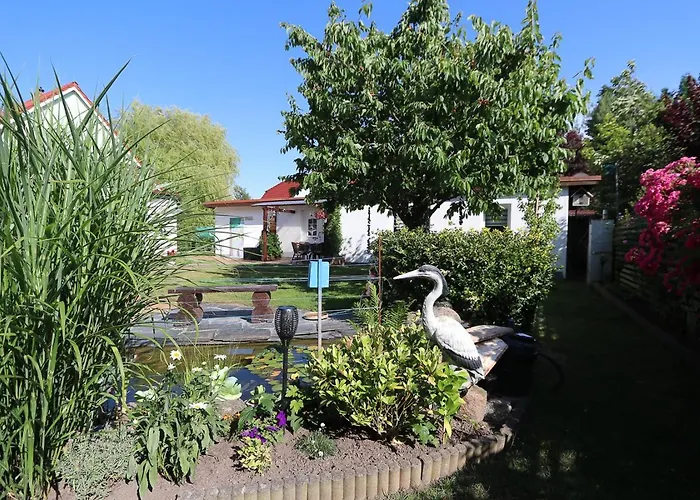 Wolfgang * Kuehlungsborn